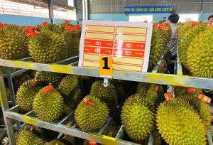 crawl 20240216071437157