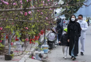 z511926150760704a9f7f4fba7819cb2983165363e8df9 1706954577363572492720 1706956939033 17069569391831555395629