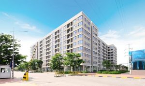 nhaocongnhan 9464 1716681100797 1716681101984990310202 1