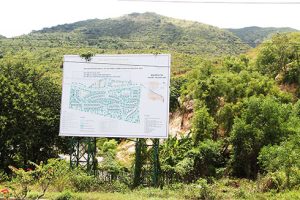 images5358363 QAnh 01