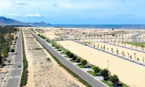 nhon hoi 1732701853 7147 1732702181