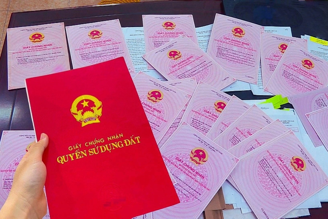 binh dinhmot phu nu dung 18 so do gia chiem doat tien tyanh minh hoa ngoc trienjpg edited 1745539804807 1746680202214