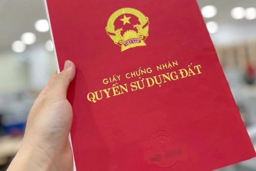 so do crop 1744356245577