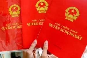 so do cropped 1752127031156