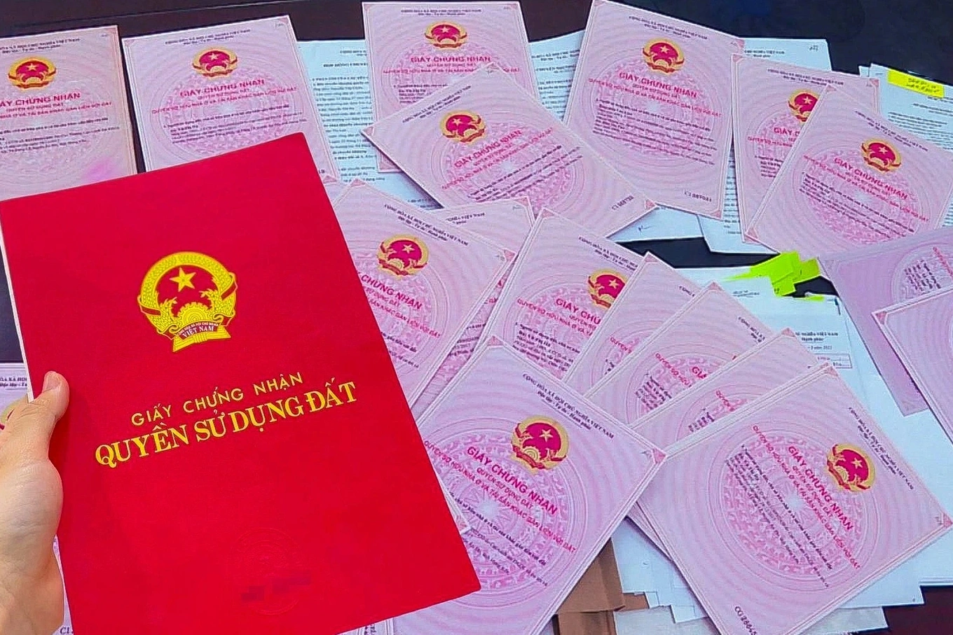 so do edited edited cropped 1751252990152