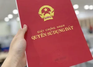 Anh man hinh 2025 04 11 luc 142259 1744356227595