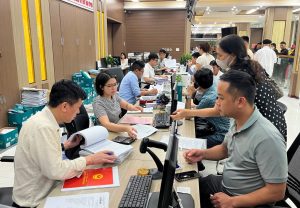 Chi nhanh van phong dang ky dat dai tp hai duong